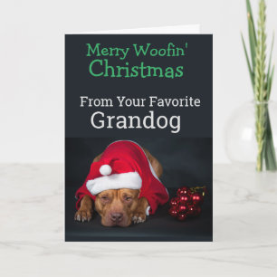 Custom Christmas Card from your Grandog