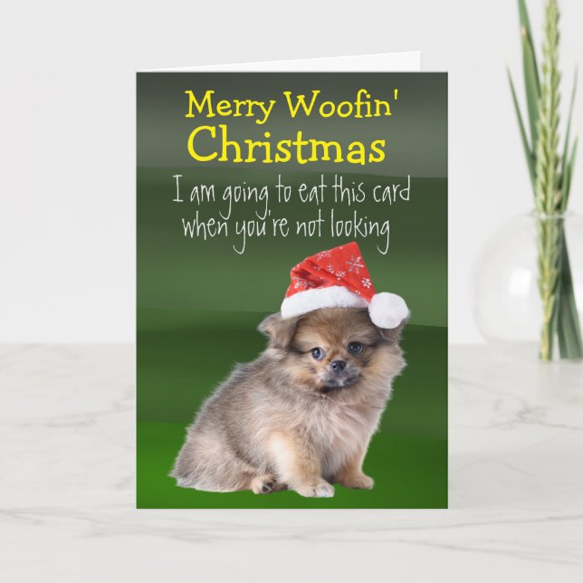 Custom Christmas Card from your Pomeranian (Front)