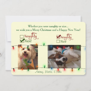 Custom Christmas Dog Card