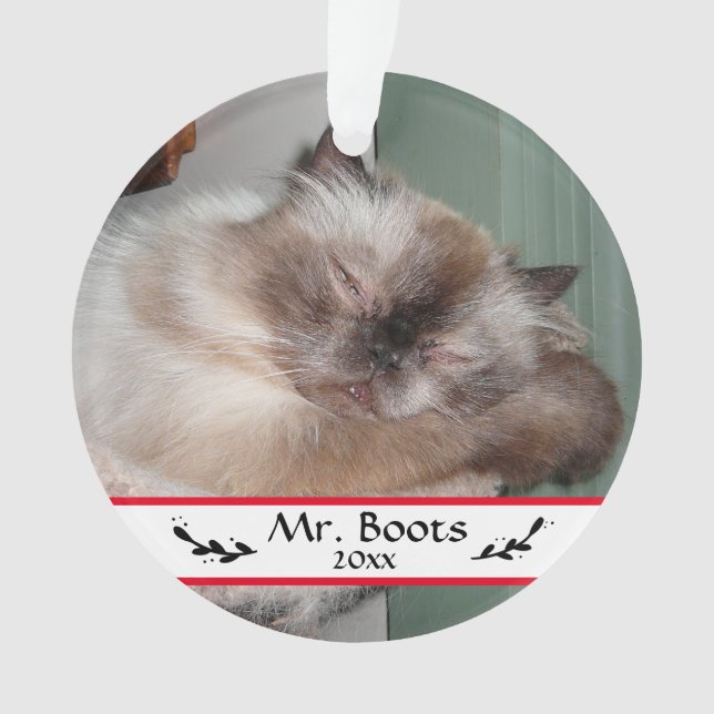 Custom Christmas Holiday Pet Photos Ornament (Front)