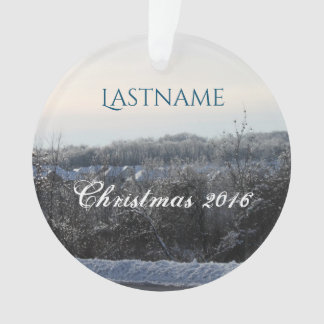Custom Christmas Ornament