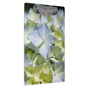 Custom Clipboards Blue Hydrangea Flowers Office