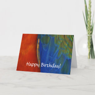Custom Colourful Macaw Parrot Feather Birthday Card