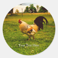 Custom Colourful Rooster Farm Life Photo