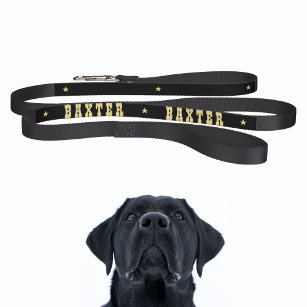 Custom Cool Black Gold Stars Dog Puppy Doggy Name Pet Lead