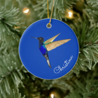 Custom Coronet Hummingbird