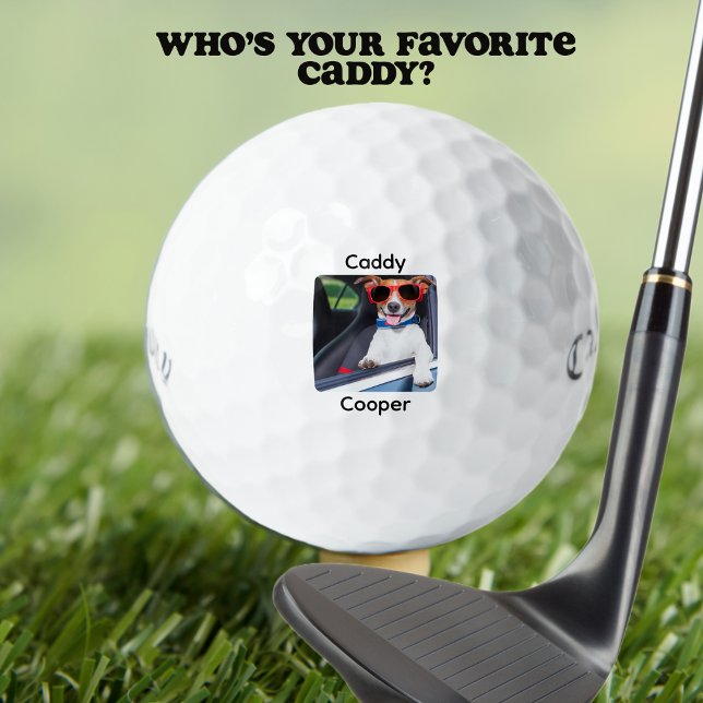 Custom Create Your Own Dog Photo Personalised  Golf Balls (Funny Pet Photo Personalized With Caddy Name. Fun for all types of golfers. )