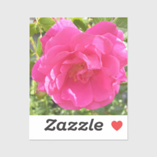 Custom-Cut Vinyl Sticker