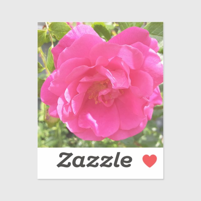 Custom-Cut Vinyl Sticker (Sheet)