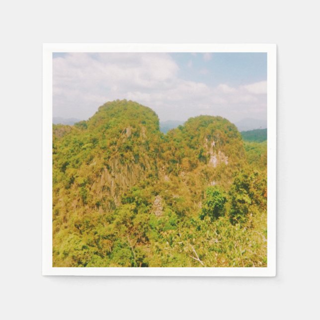 Custom-Cut Vinyl Sticker Napkin (Front)