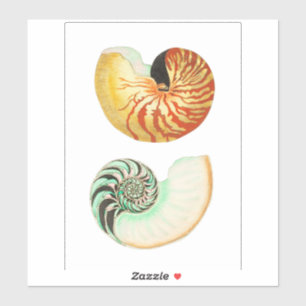 CUSTOM CUT VINYL STICKER : NAUTILUS
