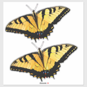 Custom Cut Vinyl Stickers - 2 Tiger Swallowtails