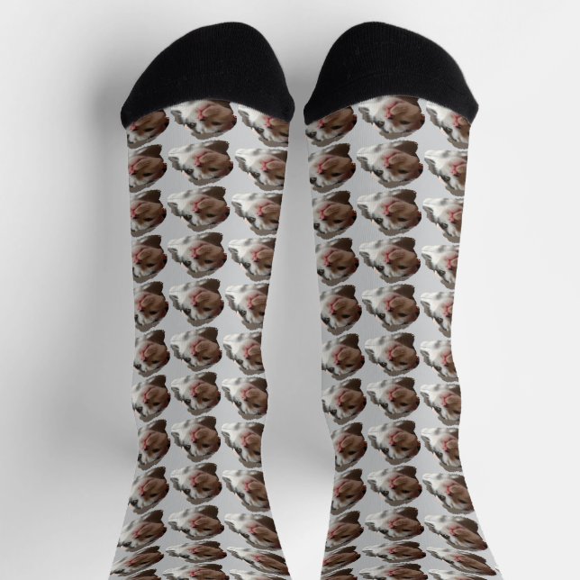 Custom Cute Cat image Pattern Socks (Top)