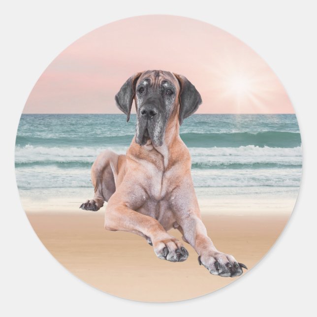 Custom Cute Great Dane Dog Sitting on Beach Classic Round Sticker (Front)