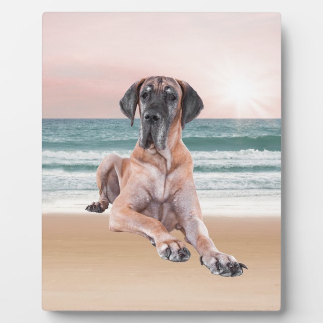 Custom Cute Great Dane Dog Sitting on Beach Plaque (Front)