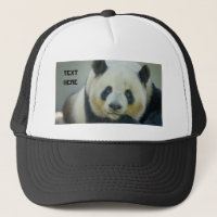 Custom Cute Panda Looking Own Text Name Printed
