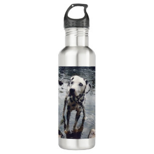 Custom Cute Pet Friend Photo Upload Dog Image 710 Ml Water Bottle