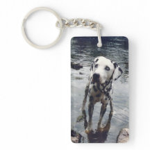 Custom Cute Pet Friend Photo Upload Dog Image