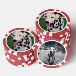 Custom Cute Pet Friend Photo - Upload Dog Image Poker Chips
