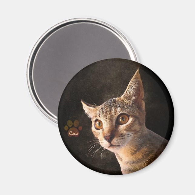 Custom Cute Pet Kitten Cat Dog Photo Template Magnet (Front/Back)