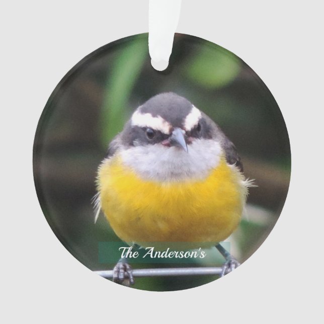 Custom Cute Yellow Breast Bird Photo Personalised Ornament (Front)