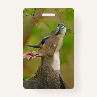 Custom deer ID badge