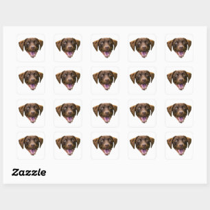 Custom Dog Face Sticker, Dog Lover Gifts, Dog Mum Square Sticker