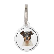 Custom Dog ID Tags with Name and Contact Info