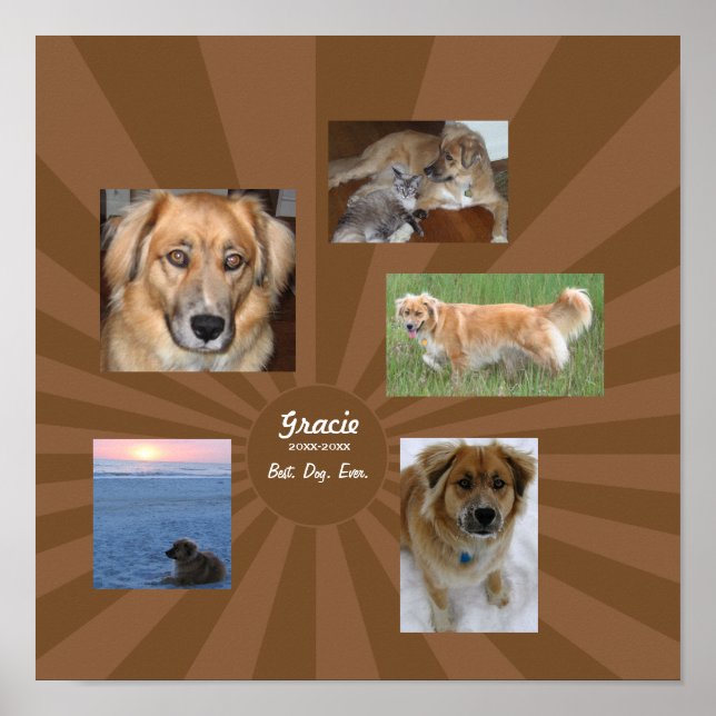 Custom Dog Memorial Poster (Front)