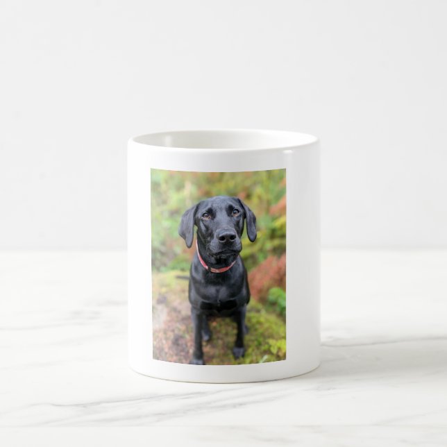 Custom Dog Mug-The Perfect Last-Minute Gift! Coffee Mug (Center)