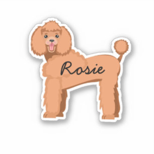 Custom dog name apricot poodle