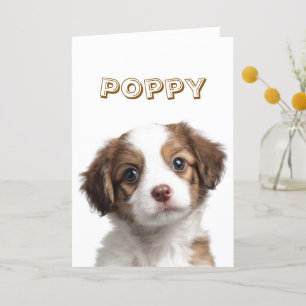 Custom Dog Name & Photo Card