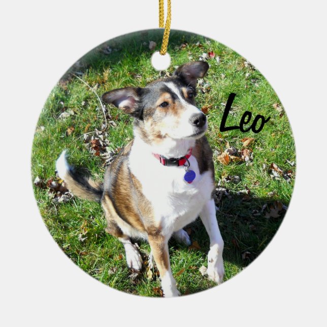 Custom Dog Ornament (Front)