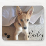 Custom Dog Pet Photo and Script Name Pawprints Mouse Pad<br><div class="desc">This custom dog photo and name mouse pad with cute pawprints makes a great gift. Just replace the photo with one of your own,  and change the name. Note: Square photos work best with the template.</div>