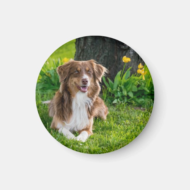 Custom Dog Pet Photo Magnet (Front)
