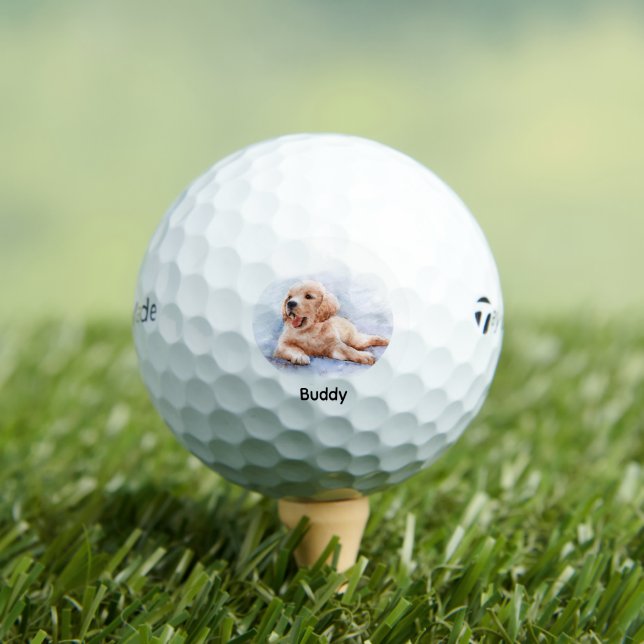 Custom Dog Pet Photo Name Golf Balls (Insitu Tee)