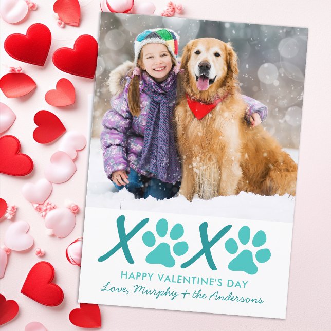 Custom Dog Pet Photo XOXO Modern Valentines Day Holiday Card (Creator Uploaded)