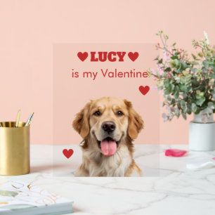 Custom Dog Photo Acrylic Sign