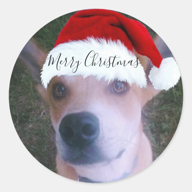 Custom Dog Photo Christmas Classic Round Sticker (Front)