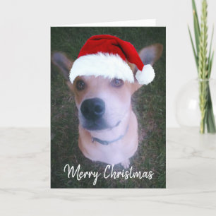 Custom Dog Photo Cute Red Christmas Holiday Card