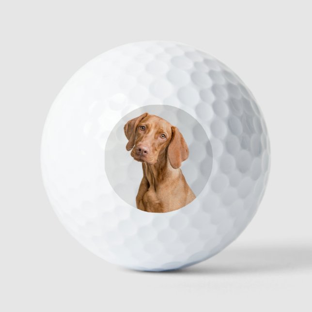 Custom Dog Photo Golf Balls (Front)