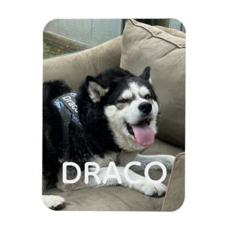 Custom Dog Photo Magnet with Name - Personalised P