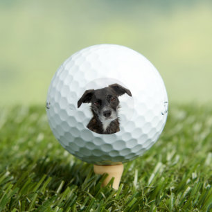 Custom Dog Photo Modern Personalised Golf Ball