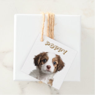 Custom Dog Photo & Name Favour Tags