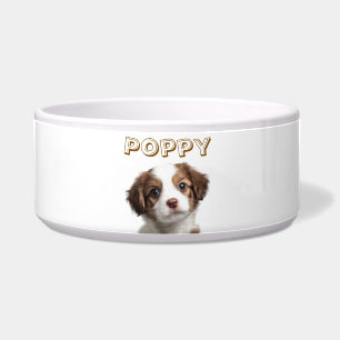 Custom Dog Photo & Name Pet Bowl