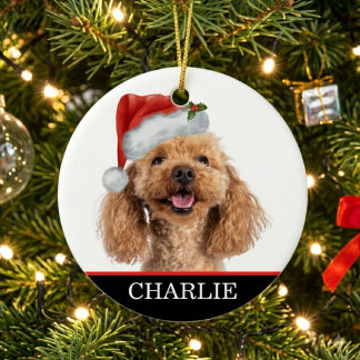 Custom Dog Photo Pet Christmas Hat Ceramic Ornament