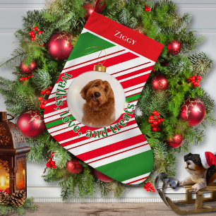 Custom Dog Photo Walks, Love Treats  Large Christmas Stocking