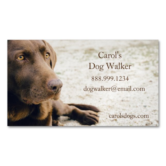 Custom Dog Walker, Pet Sitting Business Service  Magnetic Business Card (Front)