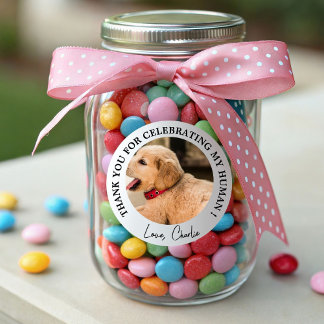 Custom Dog Wedding Favour Dog of Honour Pet Photo Classic Round Sticker