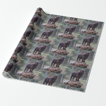 Custom Dog Wrapping Paper